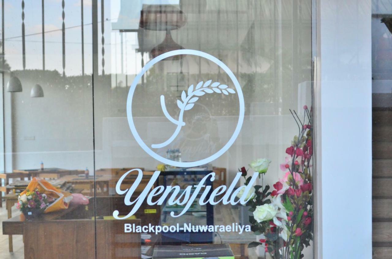 Yensfield Blackpool نوفارا إيلِيا المظهر الخارجي الصورة